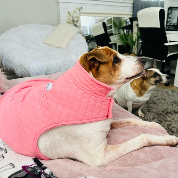 Pet (Dog) Tommy Bahama Pink Quilted Fleece Jacket - Picture 2 of 8